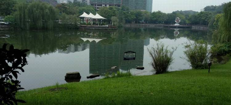 自贡雅居民宿图片