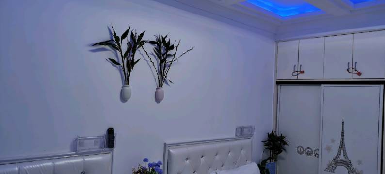 武汉佳梦苑公寓图片