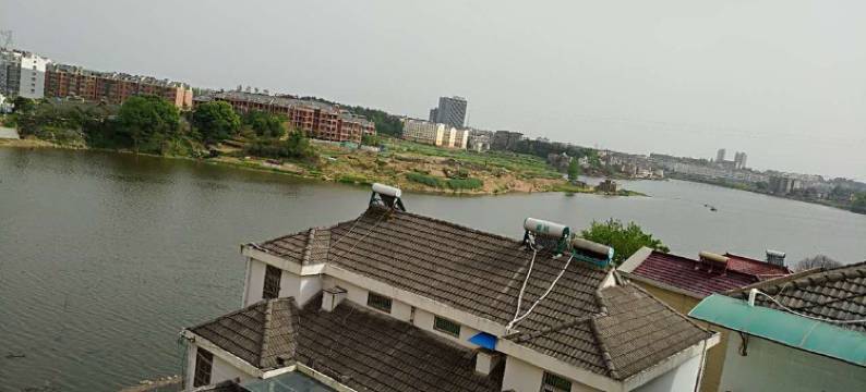 枞阳桃花源大酒店图片