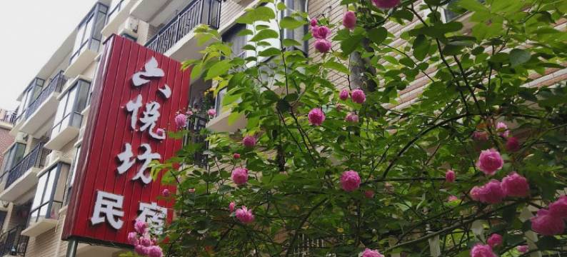 浮梁六悦坊民宿图片