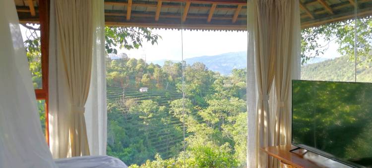 西双版纳南山隐茶园里民宿图片