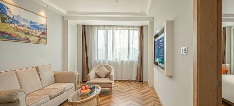 维也纳酒店(茂名观珠沉香中心店)图片