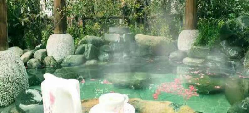 凤凰印象酒店图片