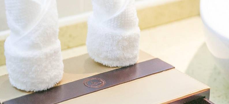 麗风酒店(琼海博鳌店)图片