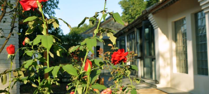 百里山水画廊静闲居民宿图片