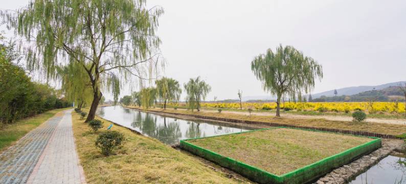 无锡一家亲农家乐图片