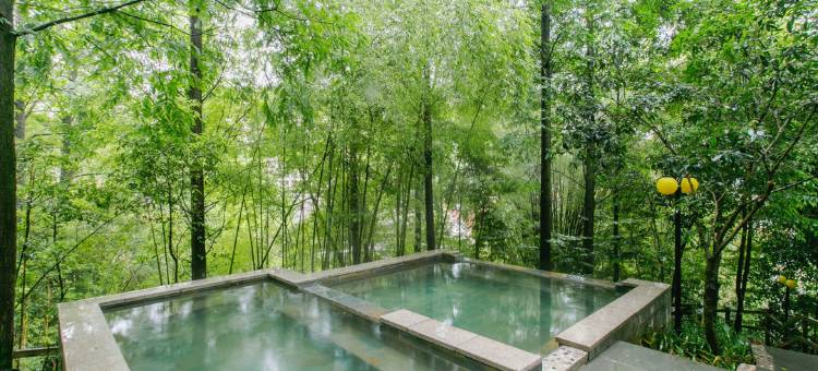 花水湾第一村森林温泉酒店图片