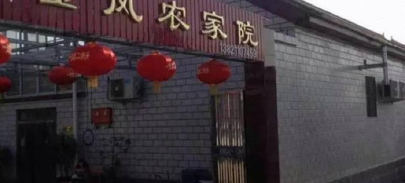 天津赵金凤农家院图片