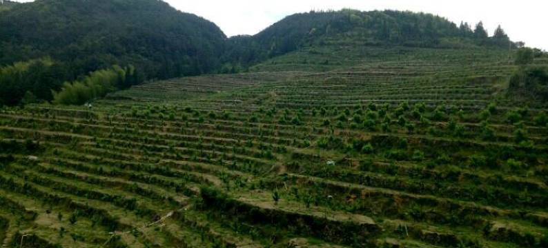 永泰云顶众香居农家乐图片