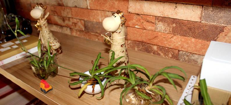 苏州嘘童时代青旅图片