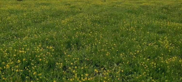 巴里岛假日酒店(大通店)图片