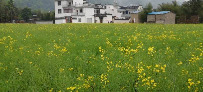 绩溪龙川乡村土菜馆图片