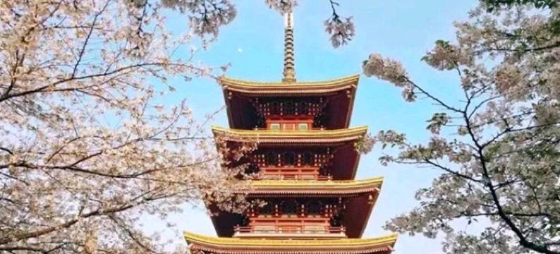 武汉光谷一休青年旅舍图片