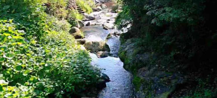 旖莫·Hot spring亲子度假美墅(莫干山国际旅游度假区店)图片
