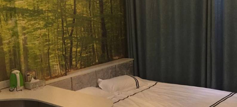 三台铂斯主题宾馆图片