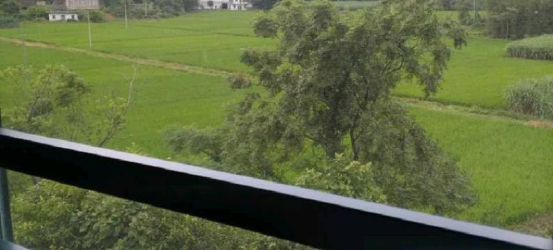 大新腾盛酒楼农家乐图片