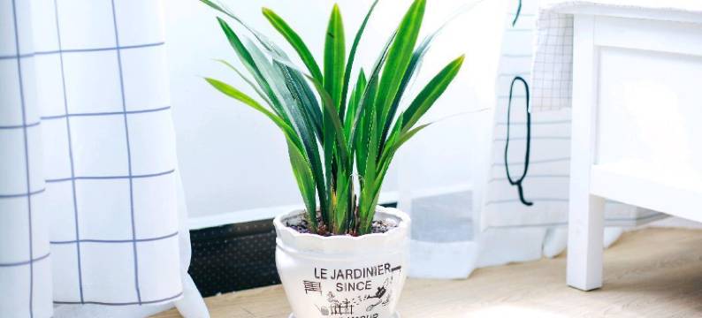 常德一束时光主题客栈图片