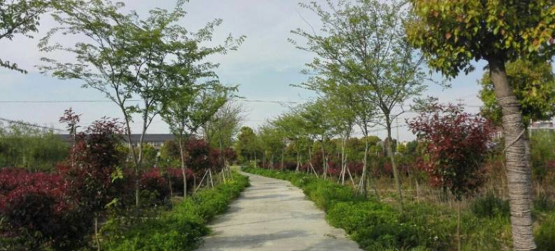 上海大指头农庄图片