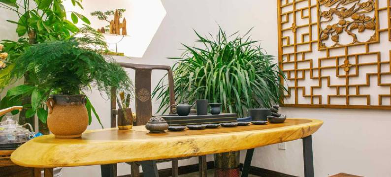 礼泉喜舍茶宿图片