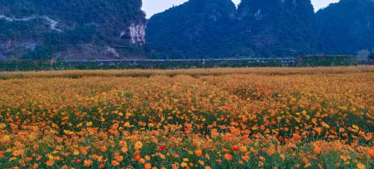 英德千寻民宿图片