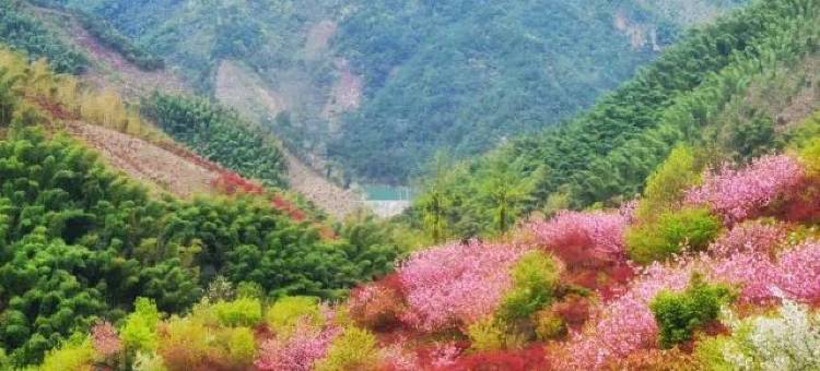 余姚山上人家农家乐图片