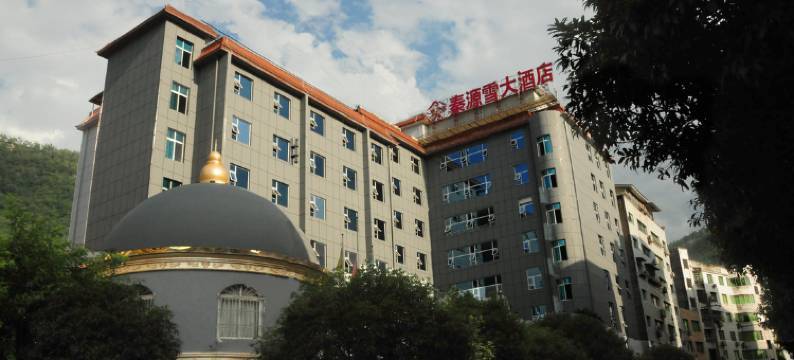 南江秦源雪大酒店图片