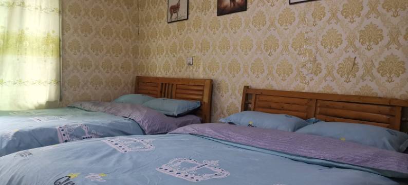 成都理想青年旅舍图片