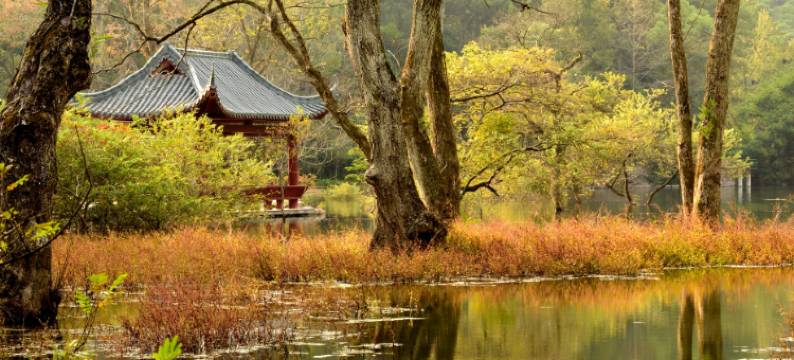 东方酒店(桂林火车北站店)图片