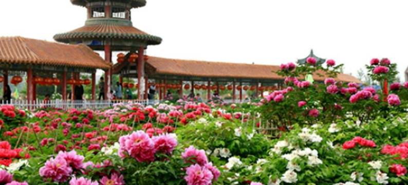 速八便捷酒店(菏泽郑州路店)图片