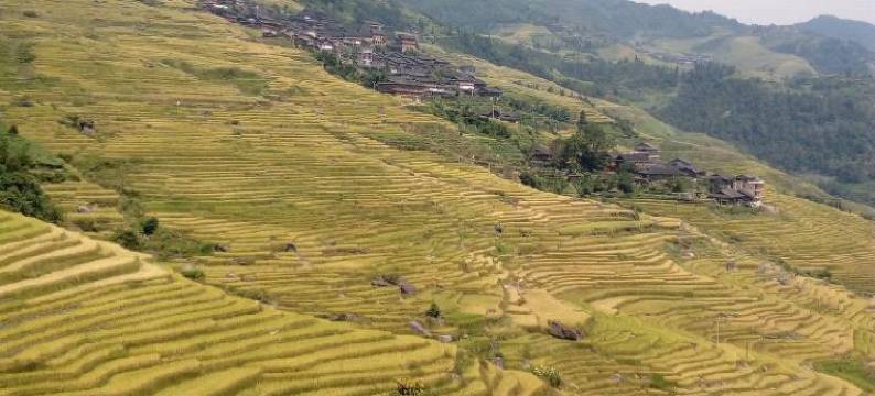 龙胜稻香楼客栈图片