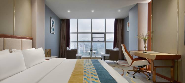 蜀汉王朝国际大酒店(剑阁剑门关高铁站店)图片