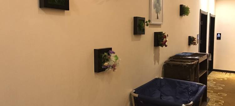 勉县云朵酒店图片