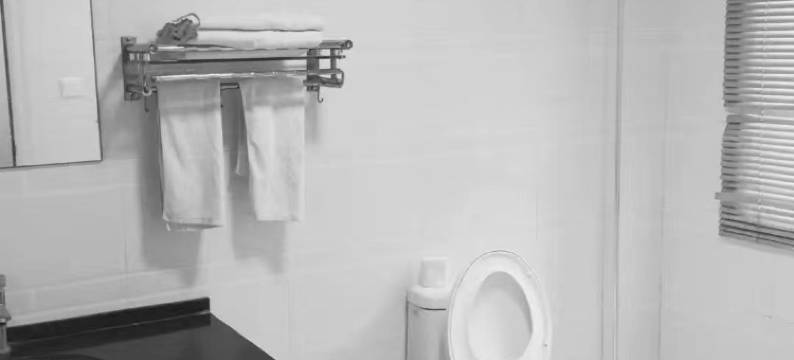 颍上海漾521宾馆(管仲老街店)图片