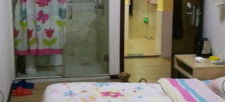 沈阳橄榄树时尚旅馆图片