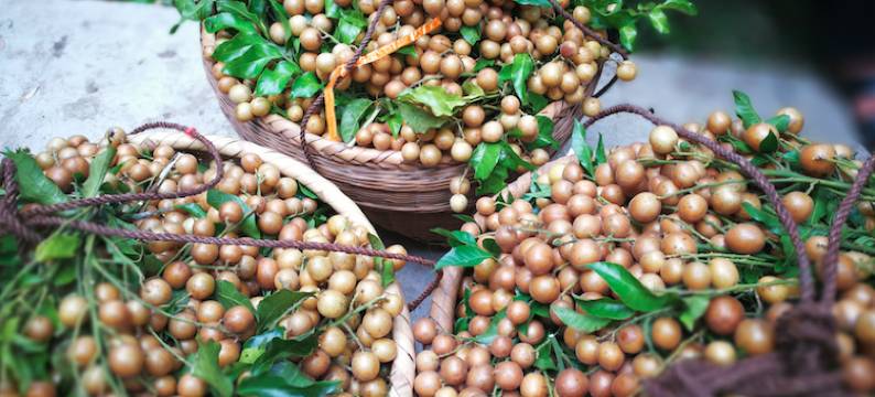 妙音仙居(阳朔兴坪店)图片