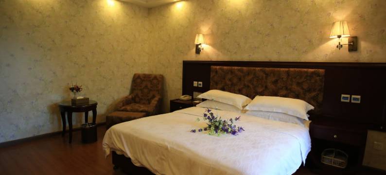 成都青江上院酒店图片