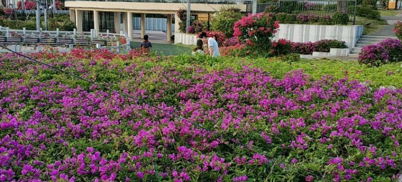 馋眠青年旅舍(北海高铁站店)图片