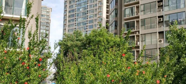 拾光青年旅舍(石家庄运河桥店)图片