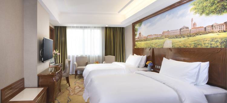 维也纳酒店(惠州龙门店)图片