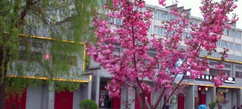 八方来宾馆(太白县步行街西口店)图片