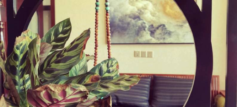 焦作千家小草LOFT公寓图片