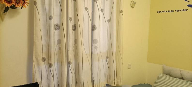 开封尤加利温馨民宿(万达广场店)图片