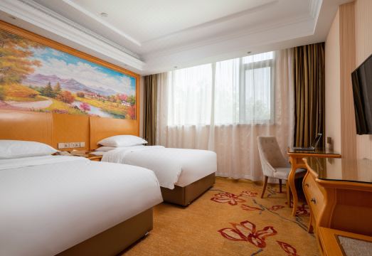 Vienna Hotel (Tianjin Five Avenues Youyi Road Cultural Center Subway Station) Hotel Overview