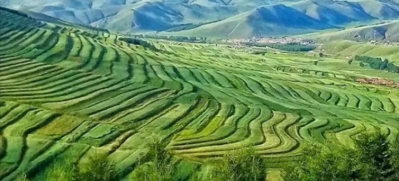 张北草原天路卢雨农家院图片