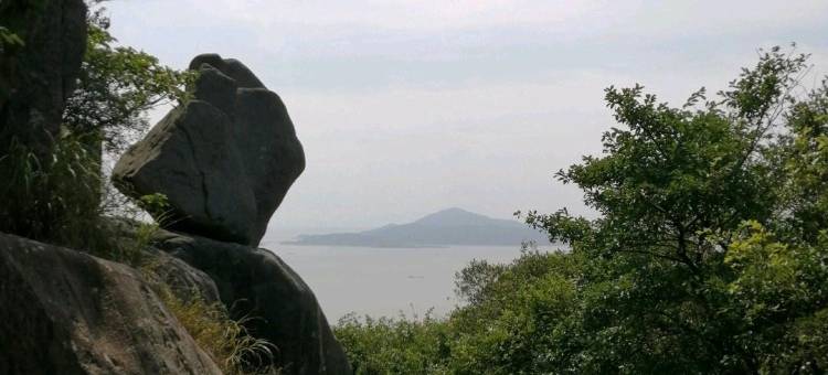 普陀山优雅阁客栈图片
