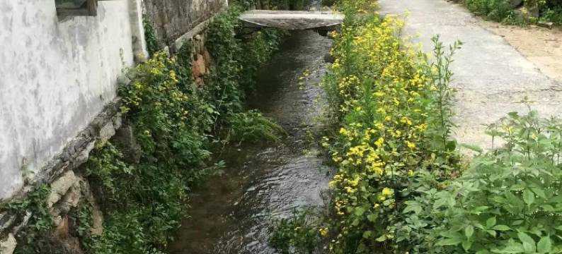 黟县徽商缘客栈图片