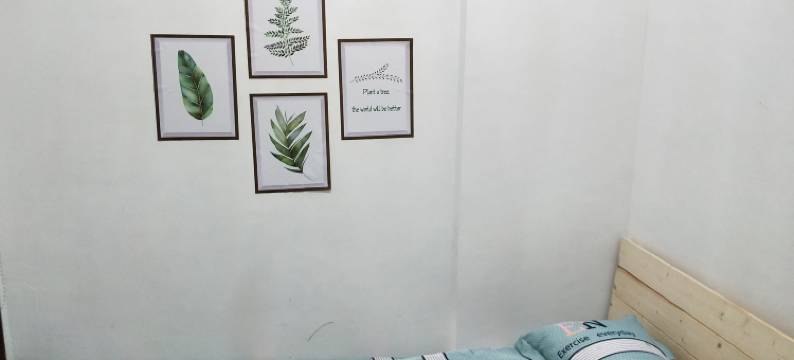 东阳星窝民宿图片