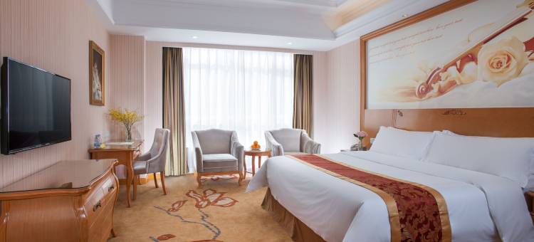 维也纳国际酒店(东莞石碣店)图片