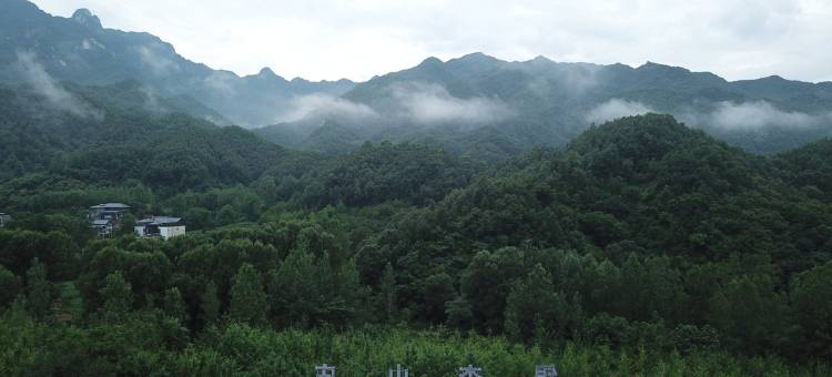 木札岭银杏山庄图片