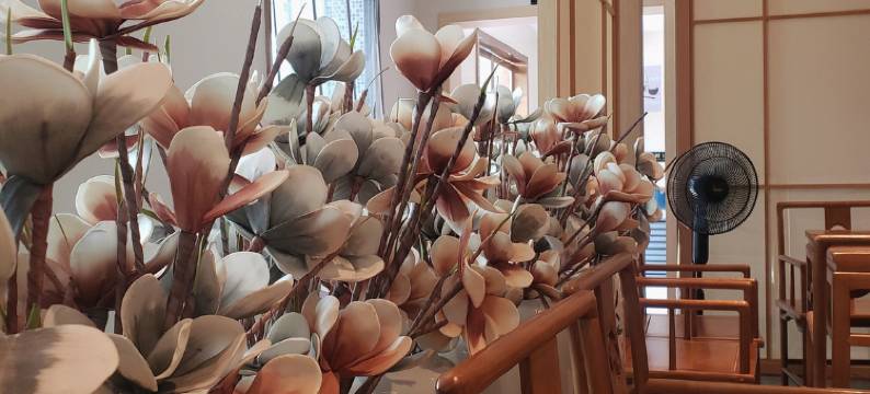 万安菲斯国际酒店图片